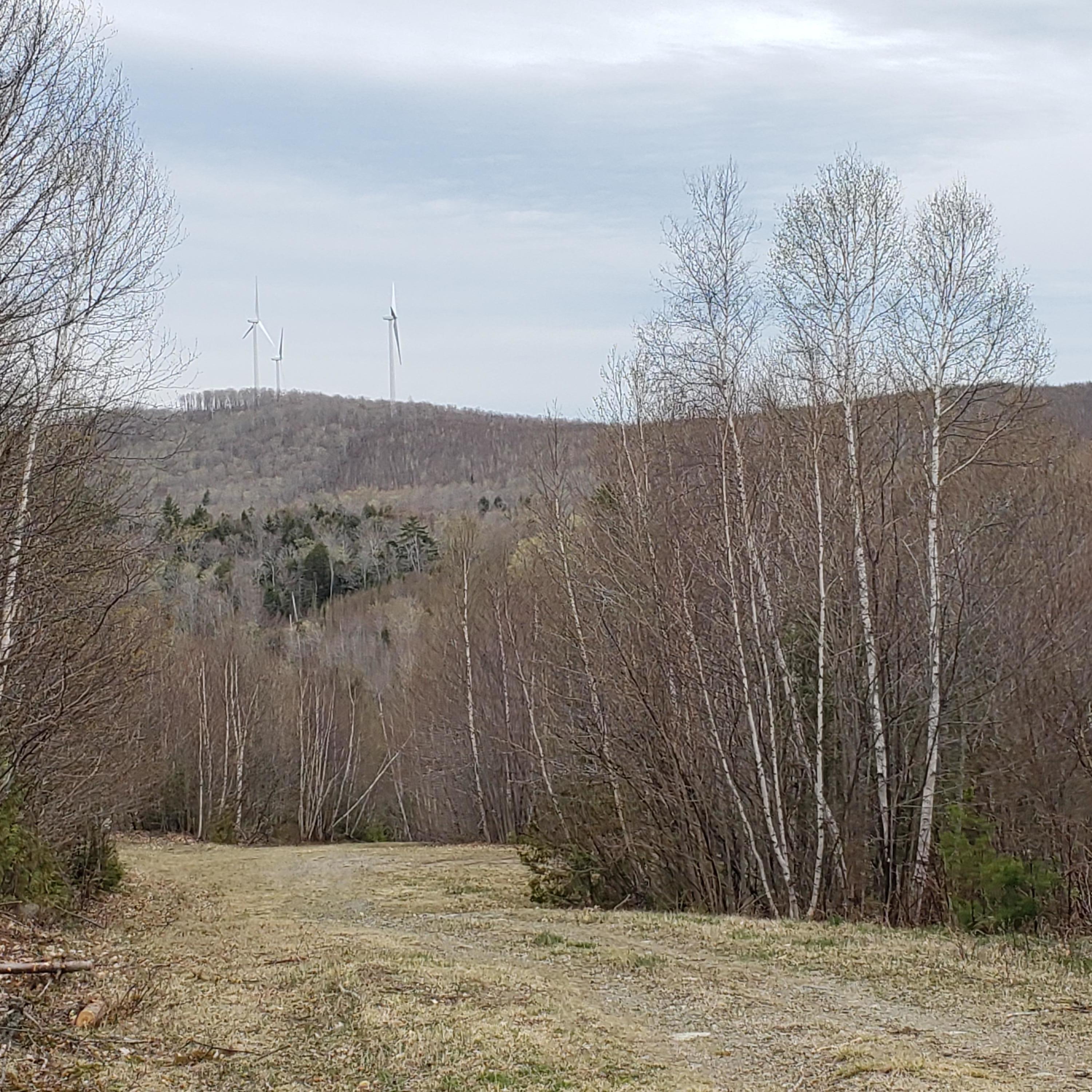 0 South Road Lincoln, ME 04457 - Photo 38 of 75 20210428_171925