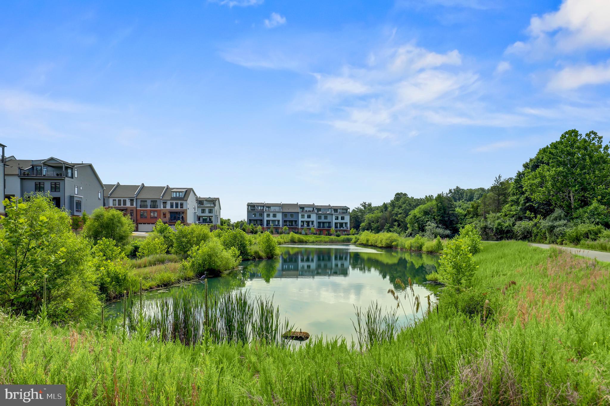 1016 Ribbon Limestone Terrace Southeast Leesburg, VA 20175 - Photo 28 of 29