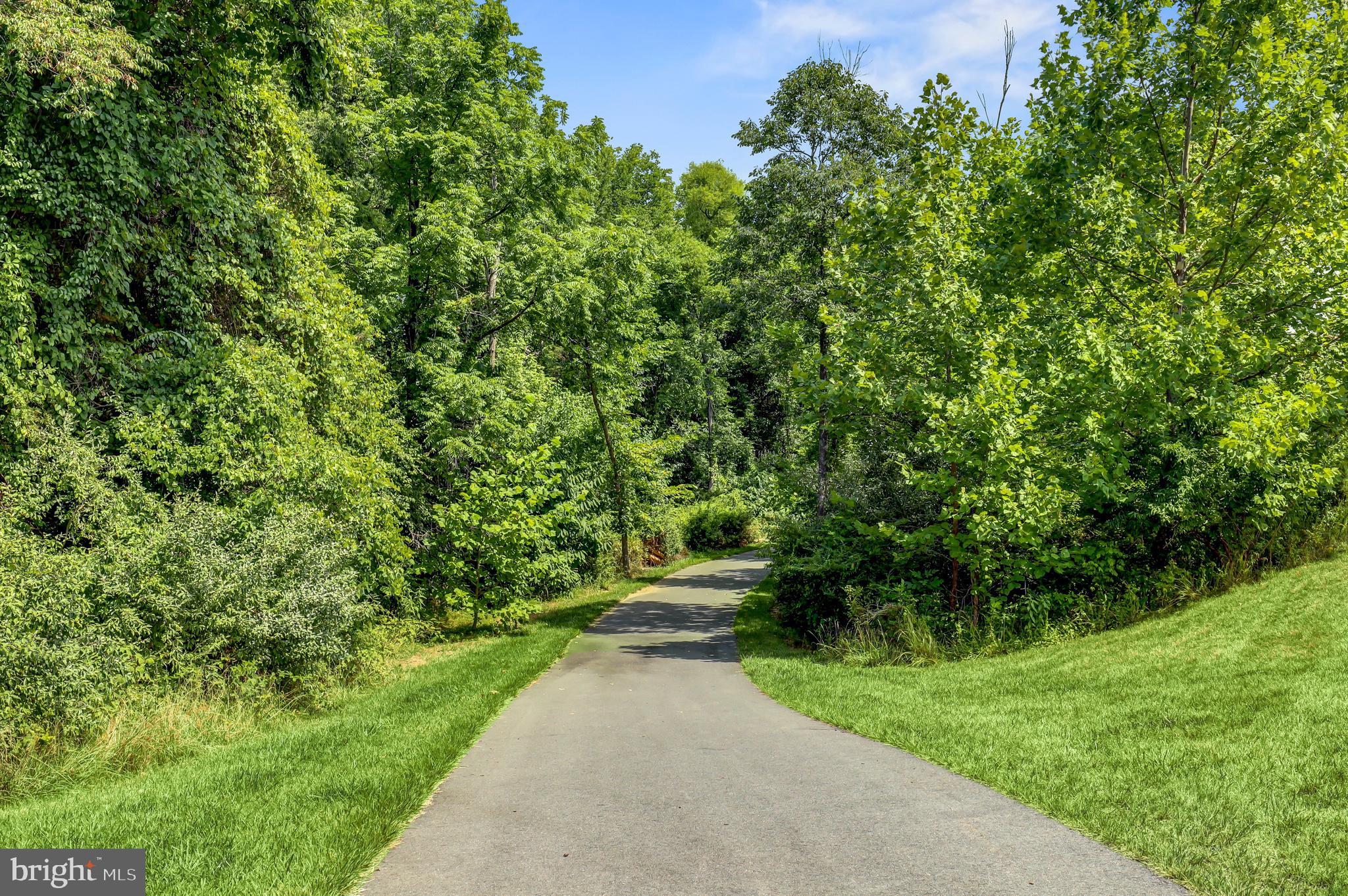 1016 Ribbon Limestone Terrace Southeast Leesburg, VA 20175 - Photo 29 of 29