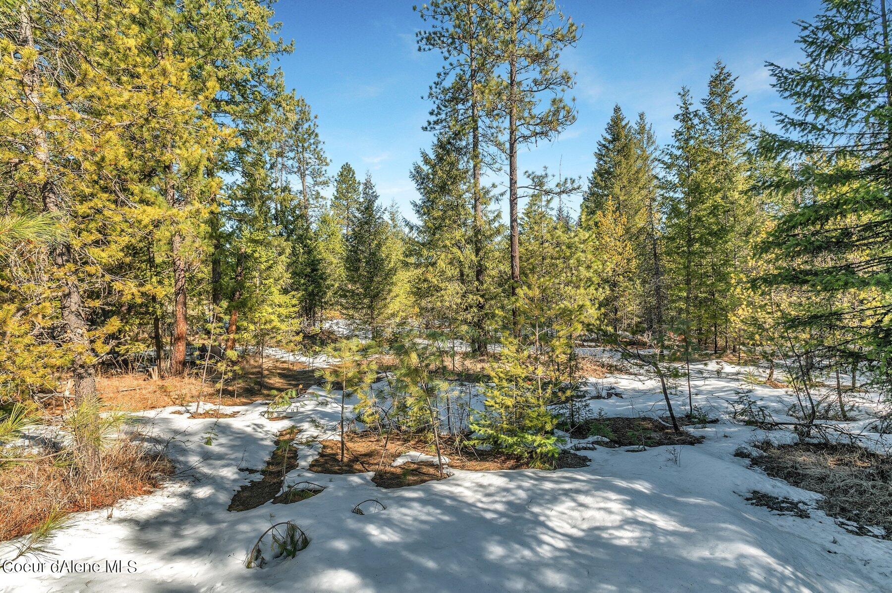 Nka Lot 1 Everett Huff Road Oldtown, ID 83822 - Photo 3 of 7 --4.jpg-SMALL