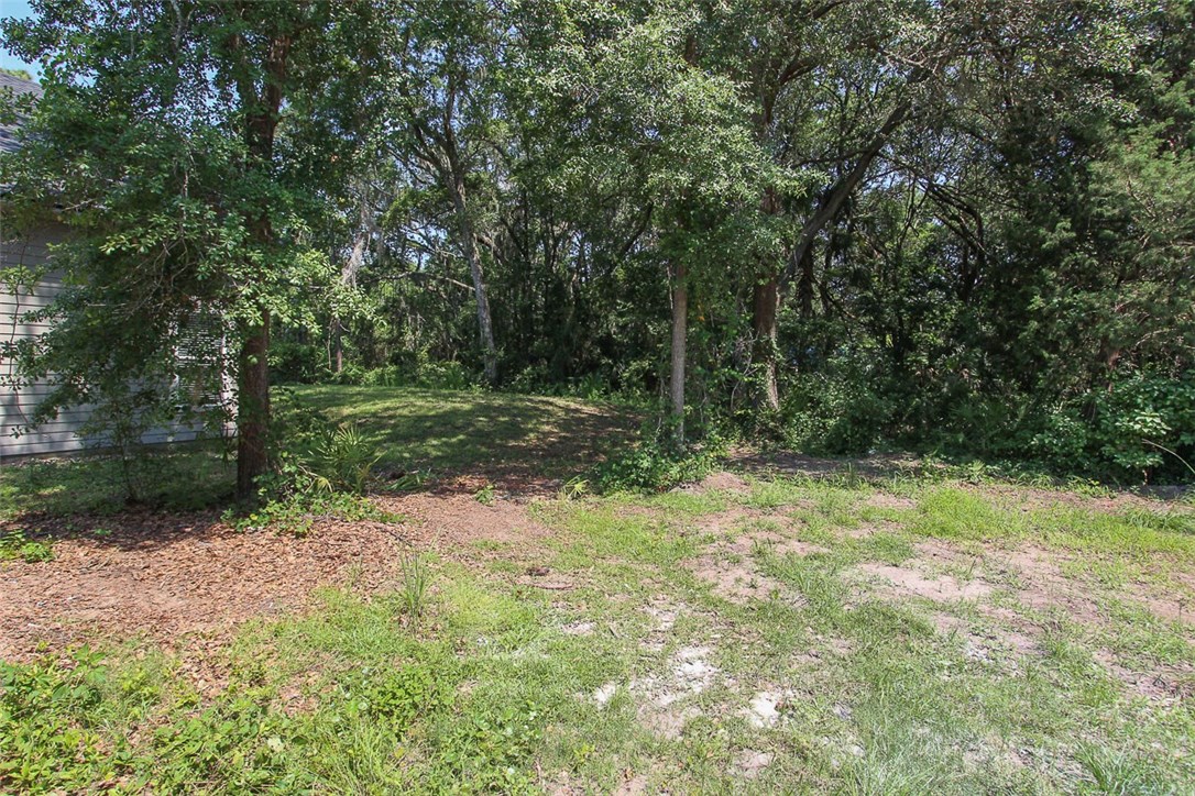 96155 Captains Pointe Road Yulee, FL 32097 - Photo 30 of 30 a view of a yard with a tree