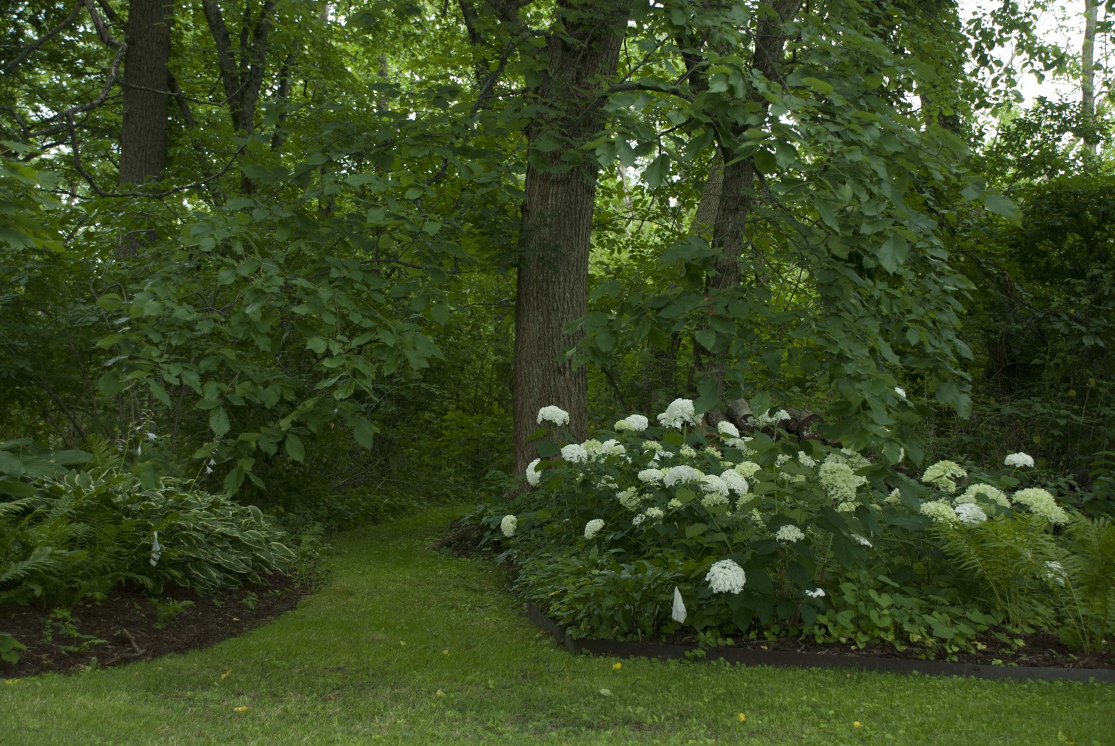 2914 South Country Club Road Woodstock, IL 60098 - Photo 23 of 25