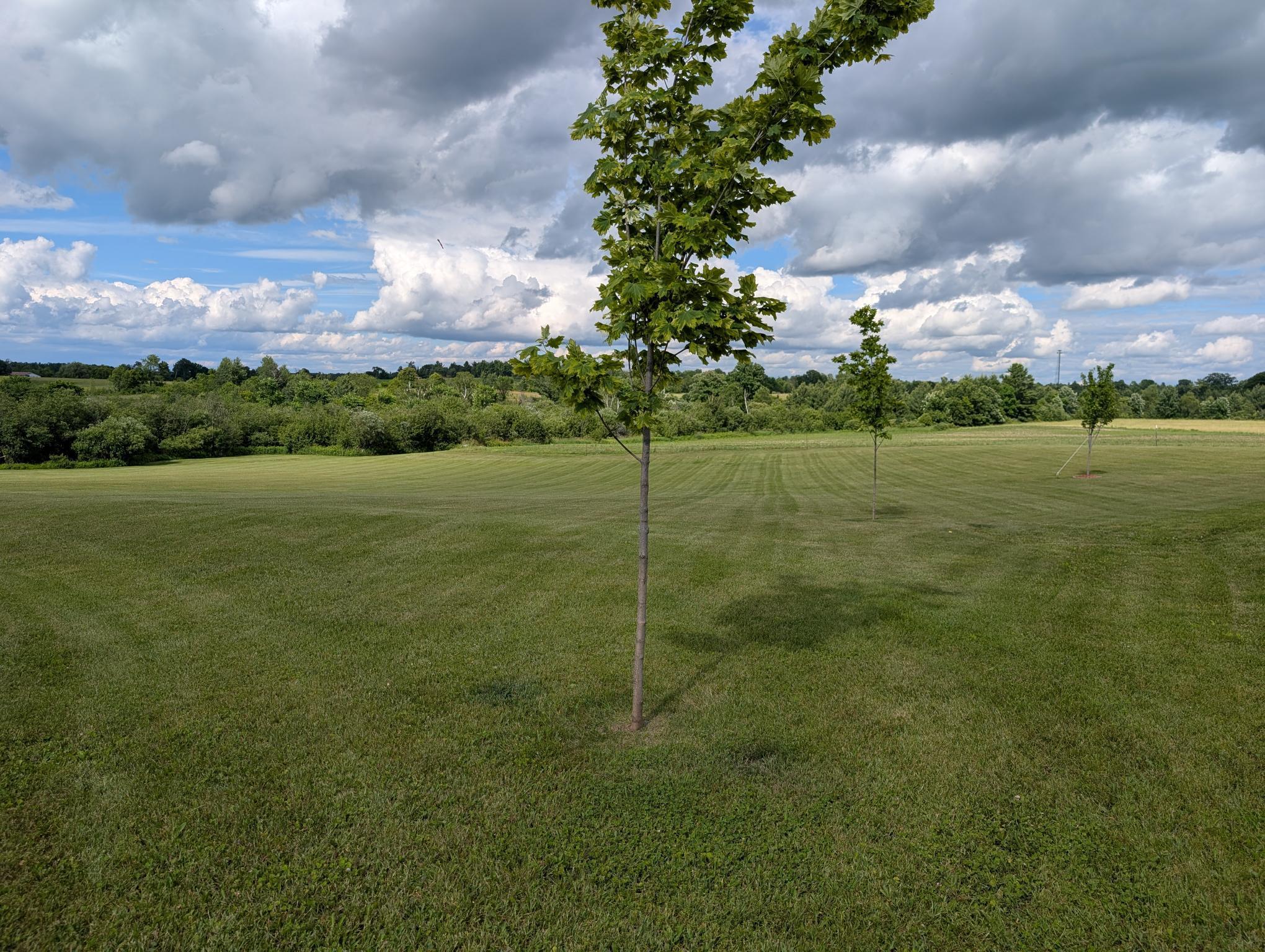 1356 14th Street Turtle Lake, WI 54889 - Photo 46 of 49