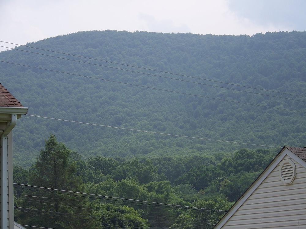 1422 Eanes Road Roanoke, VA 24014 - Photo 3 of 5 a view of a dry yard