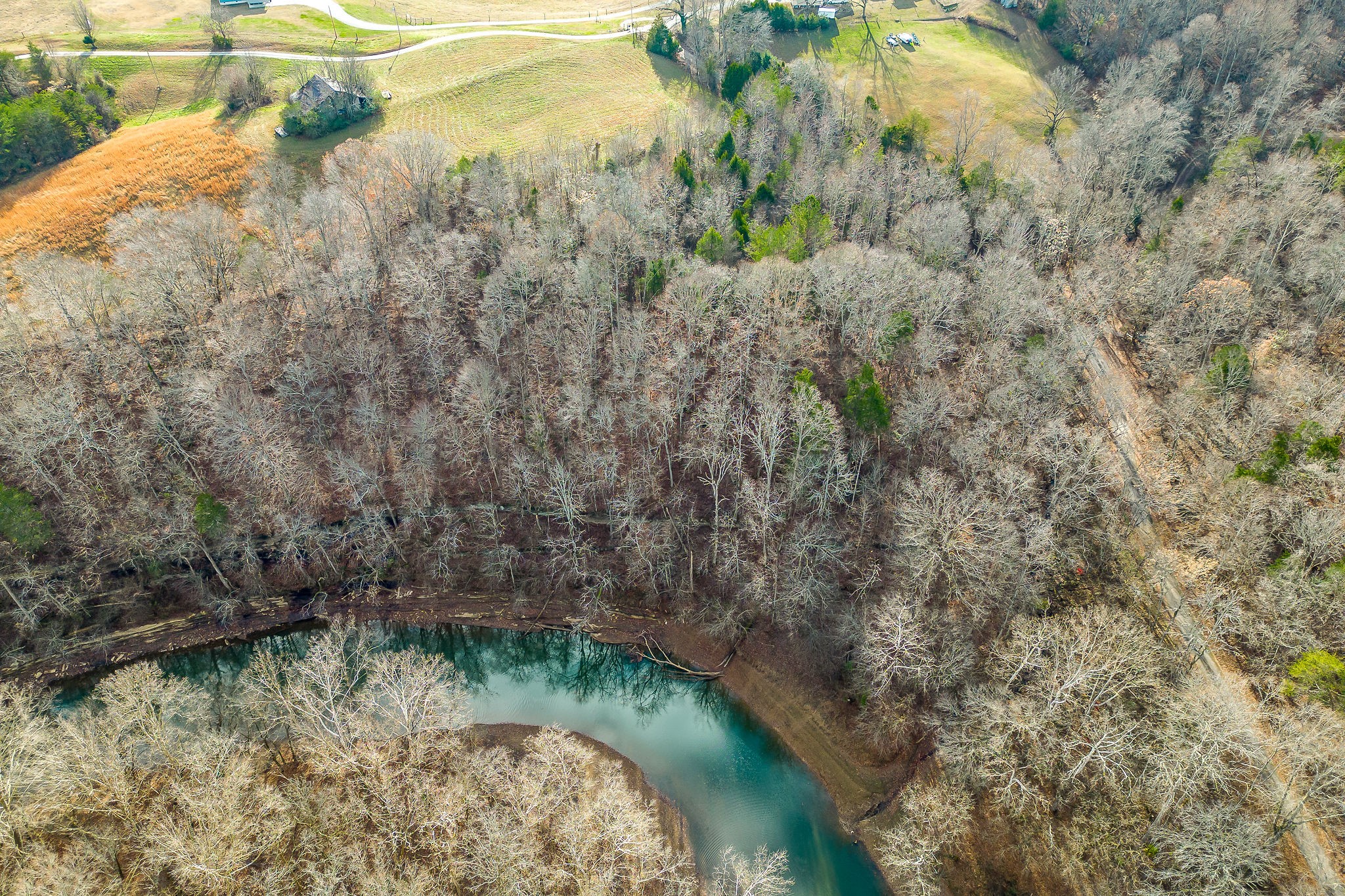 0 Cotton Road Doyle, TN 38559 - Photo 12 of 50 Gallery Image 12