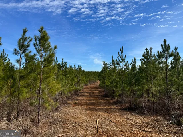 $72,000 | 19 Dozier Road, Ellaville, GA 31806