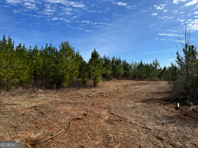 $72,000 | 19 Dozier Road, Ellaville, GA 31806