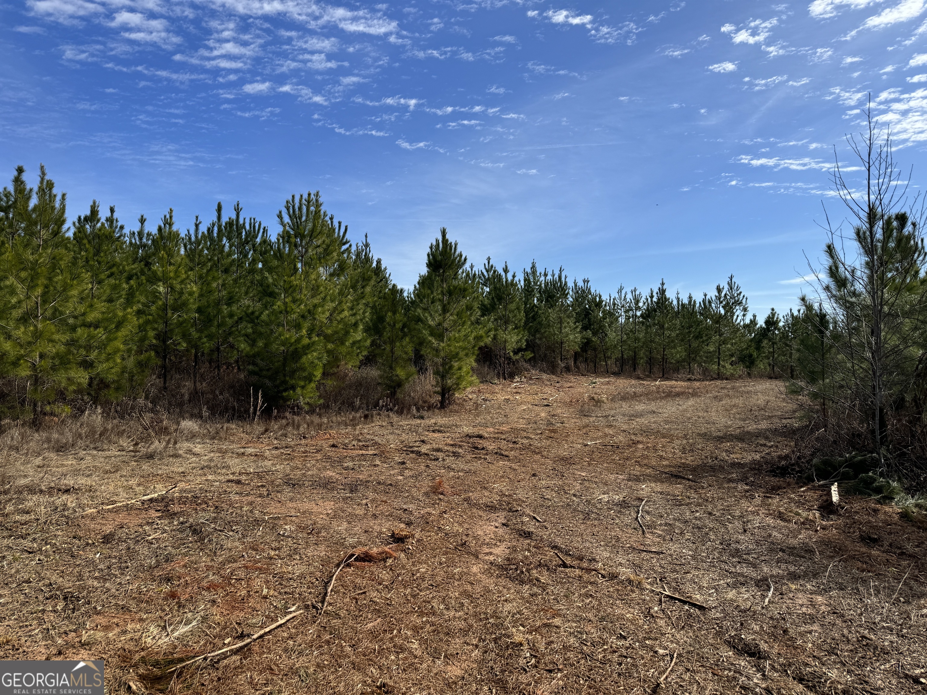 19 Dozier Road Ellaville, GA 31806 - Photo 2 of 5