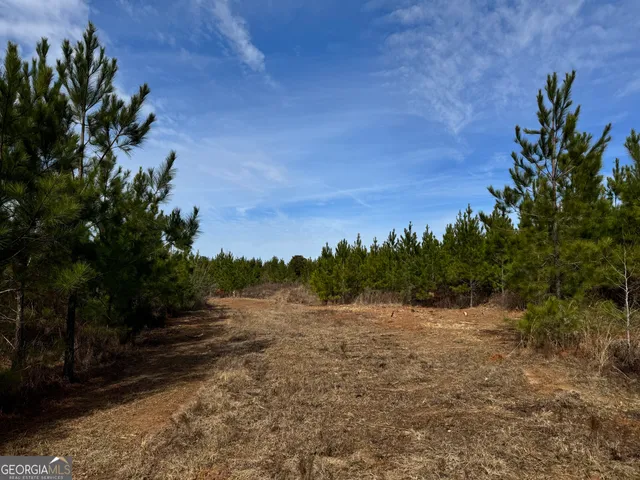 $72,000 | 19 Dozier Road, Ellaville, GA 31806