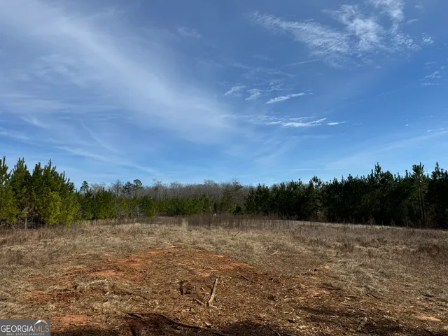 $72,000 | 19 Dozier Road, Ellaville, GA 31806