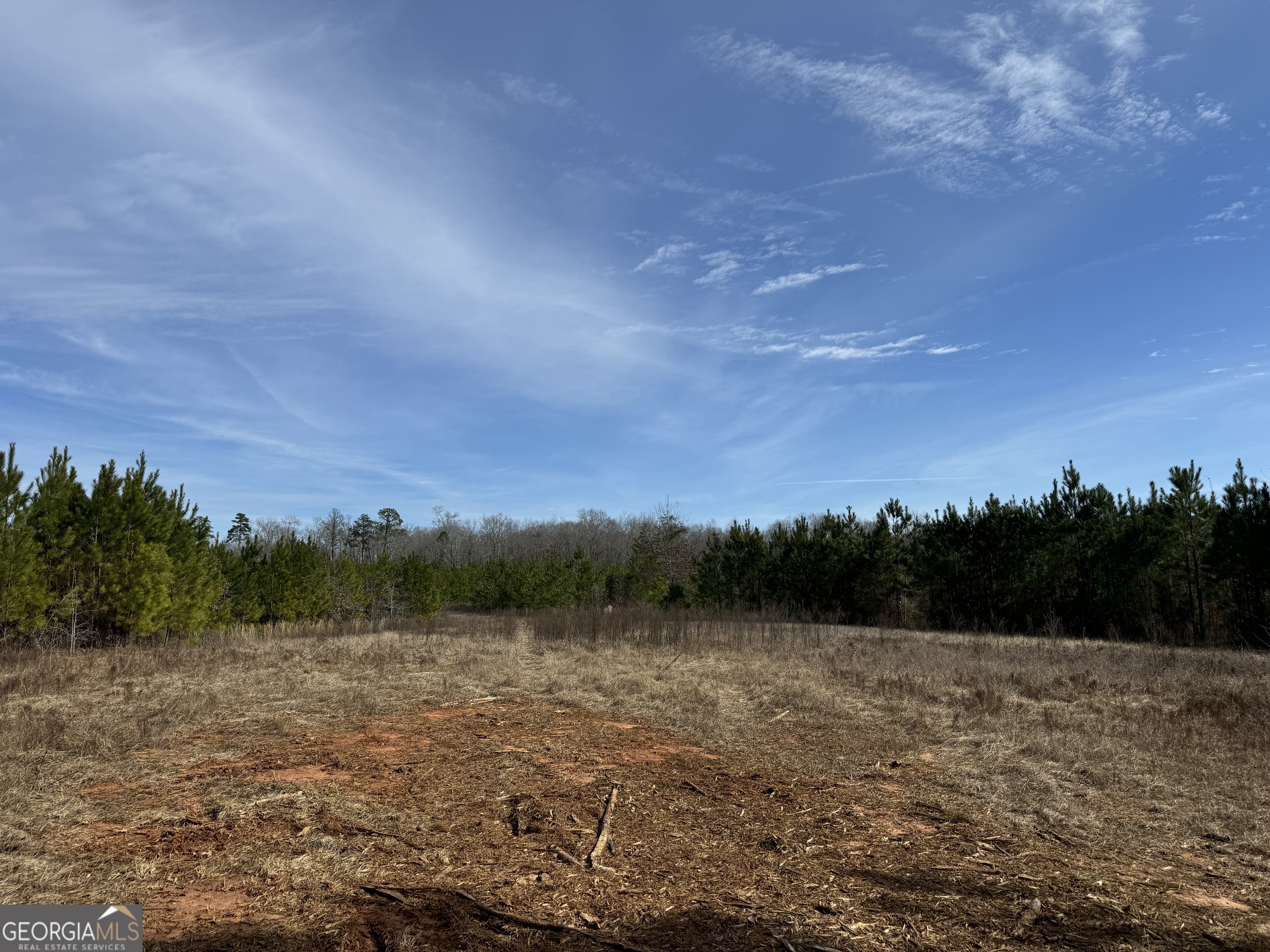 19 Dozier Road Ellaville, GA 31806 - Photo 5 of 5