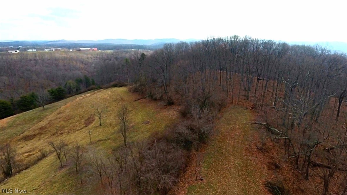 Ewing Road Waverly, WV 26184 - Photo 4 of 7