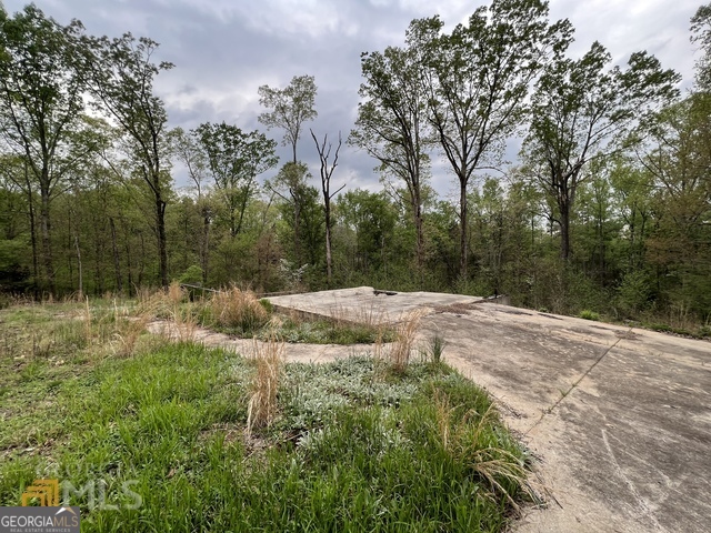 167 Ridgewood Lane Hartwell, GA 30643 - Photo 1 of 1 Gallery Image 1