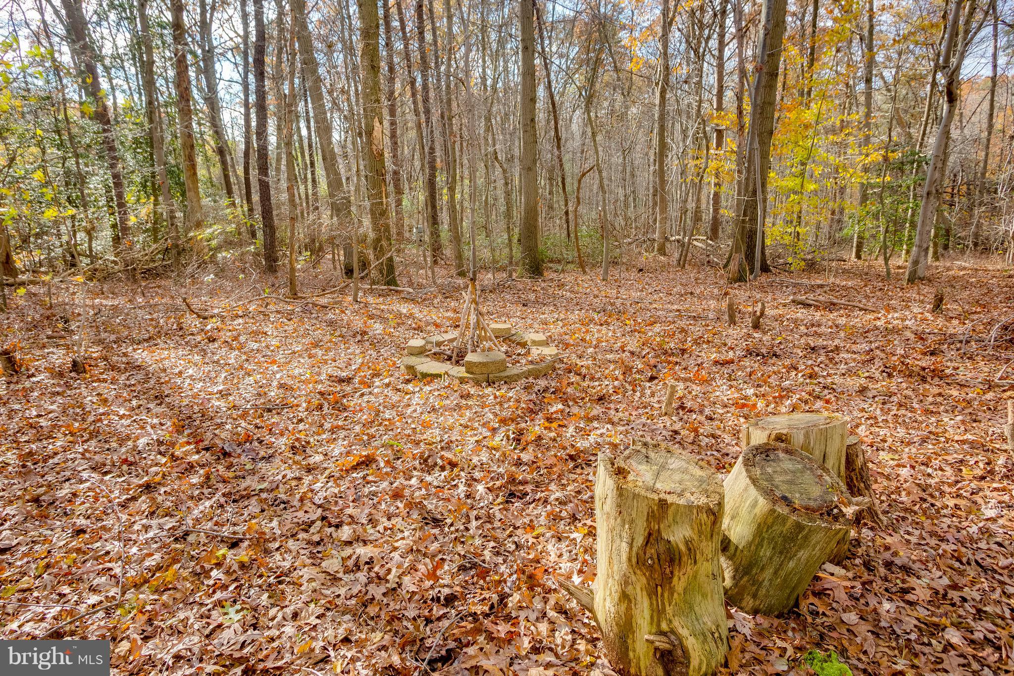 412 Dembytown Road Joppa, MD 21085 - Photo 23 of 23 Lot is wooded in the rear for tons of fun.