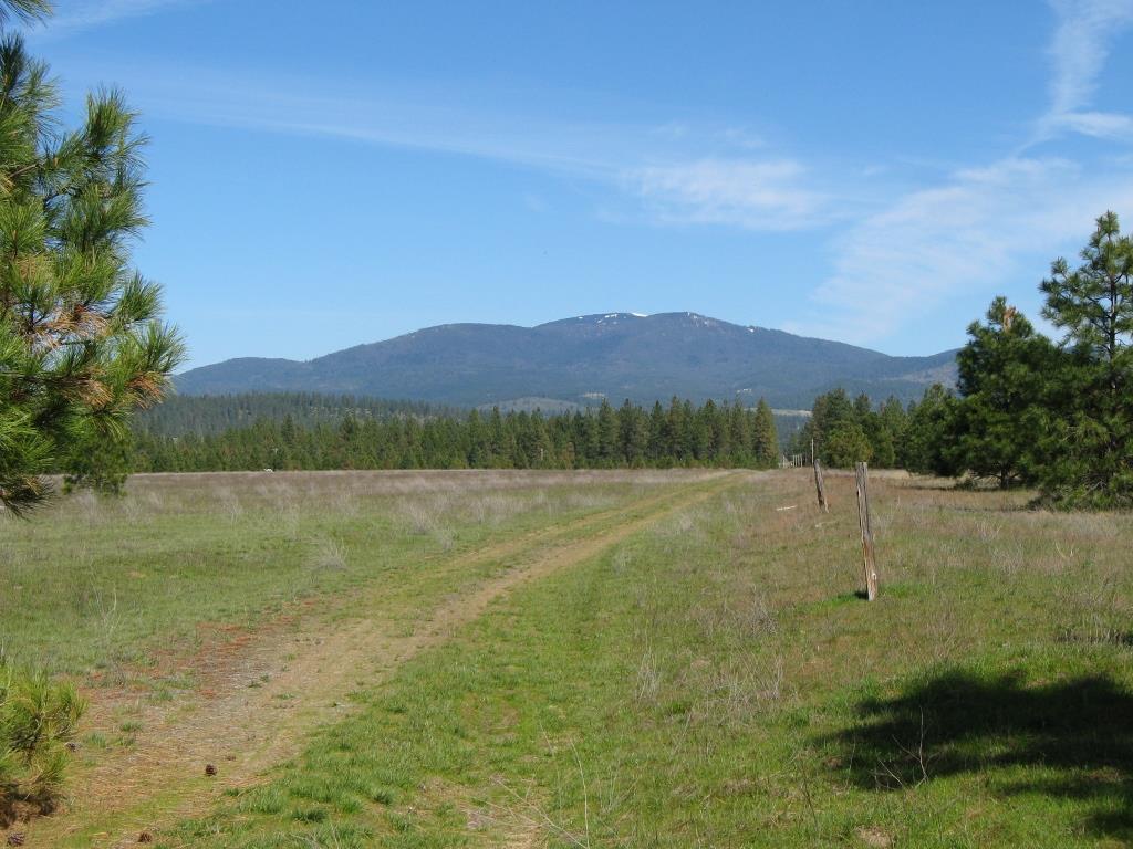 Lot 8 North Bruce Road Chattaroy, WA 99003 - Photo 2 of 7