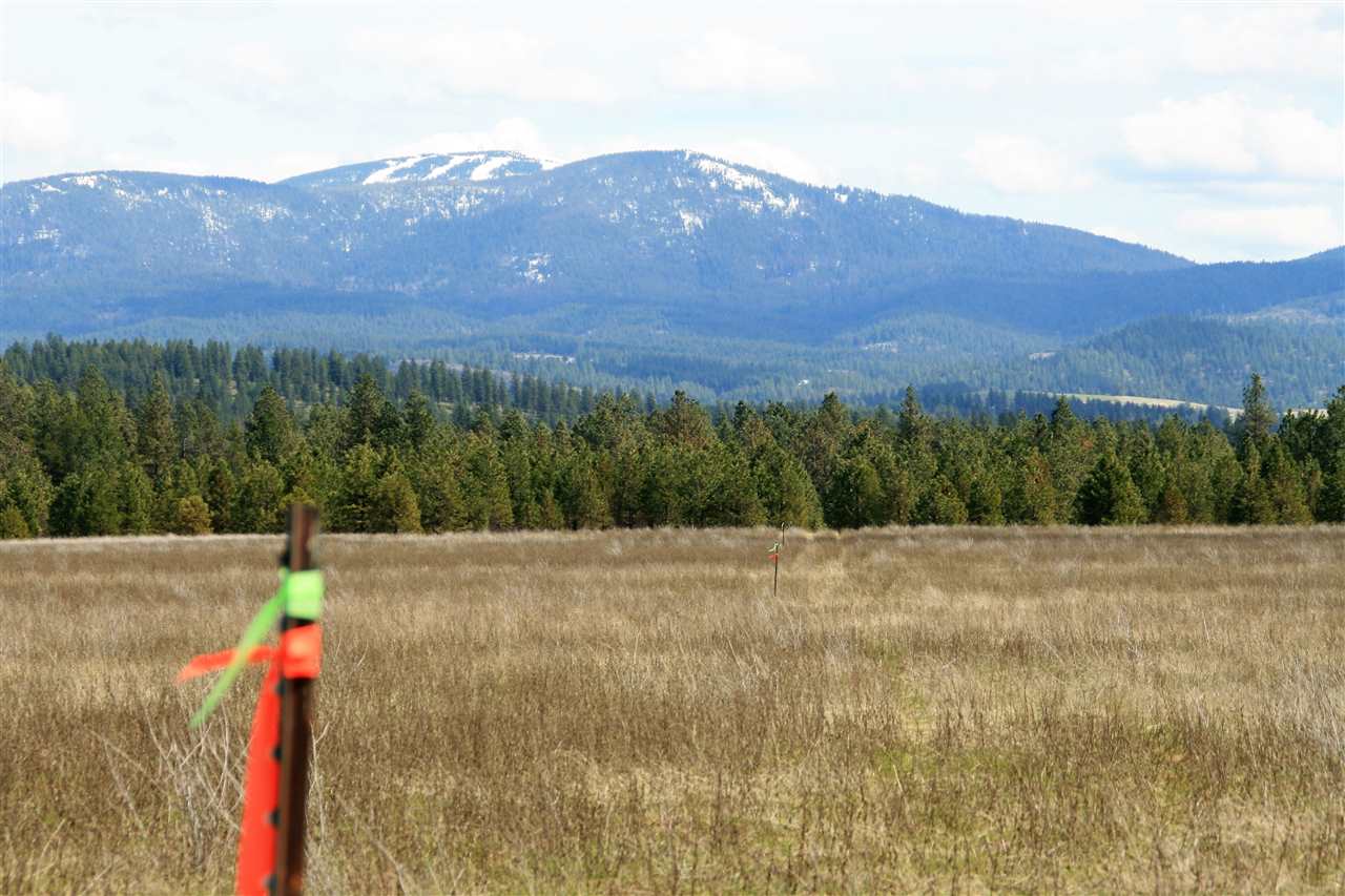 Lot 8 North Bruce Road Chattaroy, WA 99003 - Photo 4 of 7