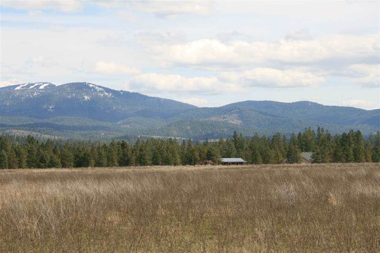 Lot 8 North Bruce Road Chattaroy, WA 99003 - Photo 5 of 7