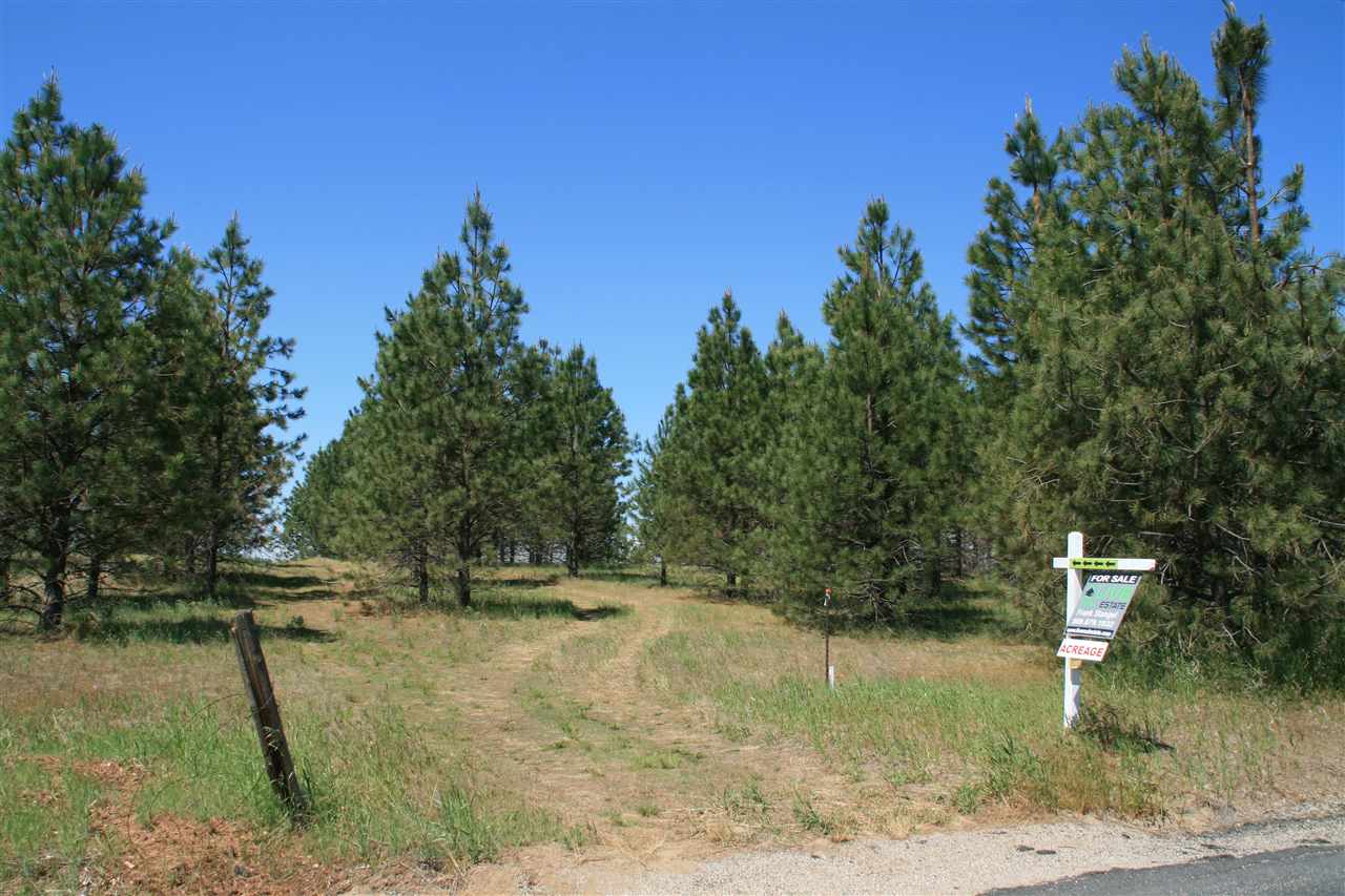 Lot 8 North Bruce Road Chattaroy, WA 99003 - Photo 6 of 7