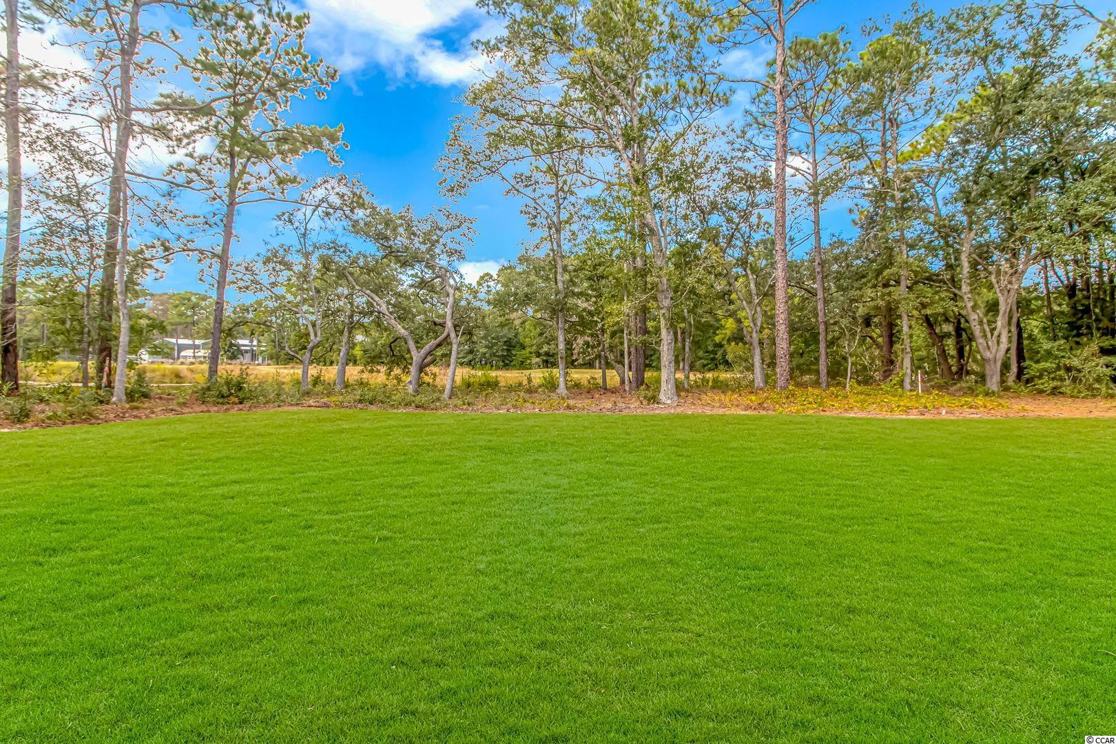 130 Springfield Road Pawleys Island, SC 29585 - Photo 30 of 36 Gallery Image 30