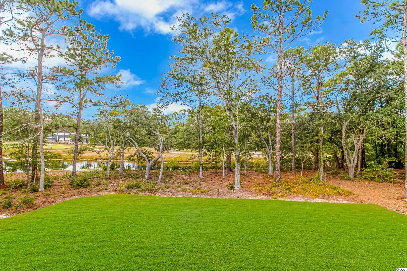 130 Springfield Road Pawleys Island, SC 29585 - Photo 31 of 36 Gallery Image 31