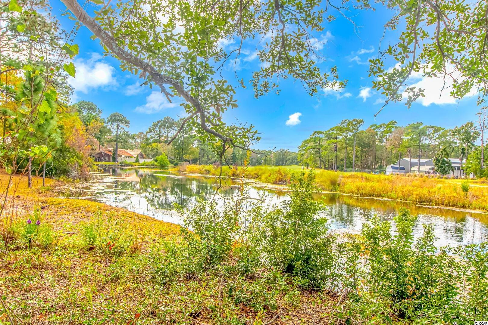 130 Springfield Road Pawleys Island, SC 29585 - Photo 33 of 36 Gallery Image 33