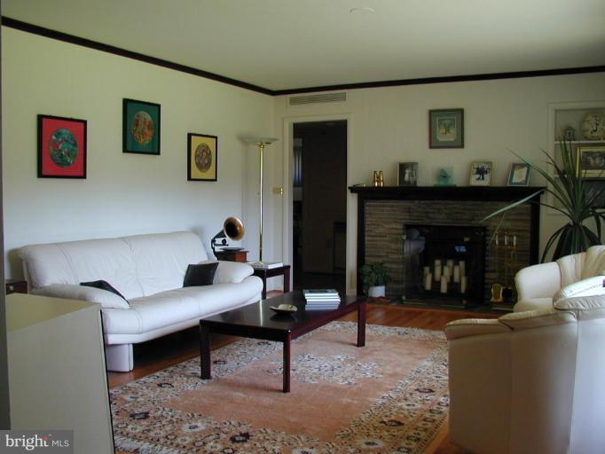 1207 Culvert Road Towson, MD 21286 - Photo 5 of 29 a living room with furniture and a fireplace
