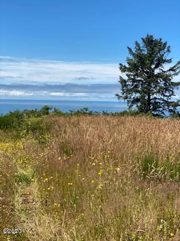 54100 South Beach Road Neskowin, OR 97149 - Photo 4 of 5 IMG_8699