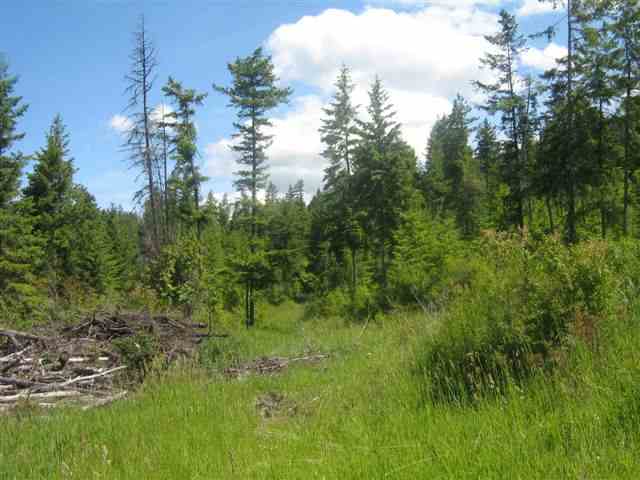 Lot 3 Daisy Mine Road Rice, WA 99167 - Photo 1 of 5