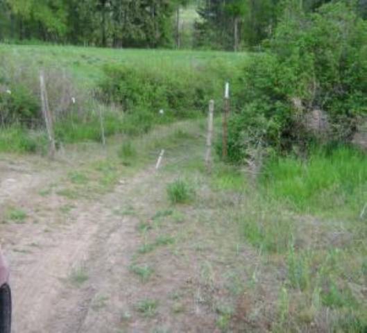 Lot 3 Daisy Mine Road Rice, WA 99167 - Photo 2 of 5