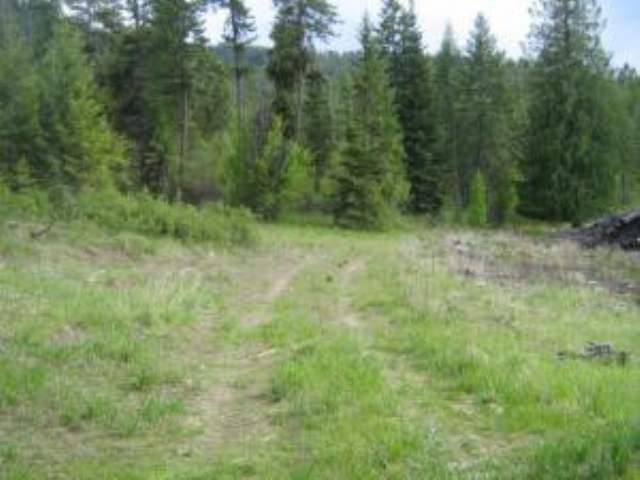 Lot 3 Daisy Mine Road Rice, WA 99167 - Photo 3 of 5