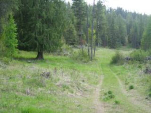 Lot 3 Daisy Mine Road Rice, WA 99167 - Photo 4 of 5