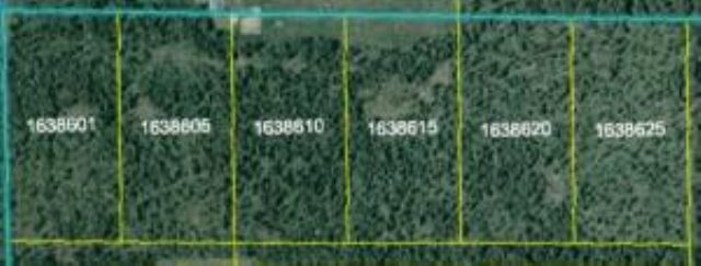 Lot 3 Daisy Mine Road Rice, WA 99167 - Photo 5 of 5