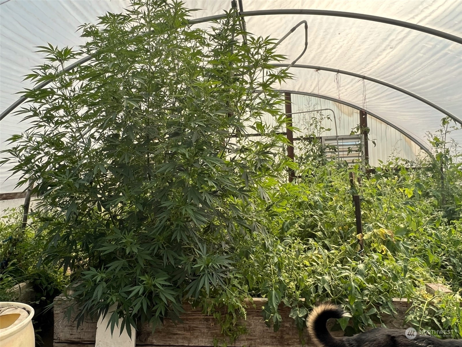 1862 Havillah Road Oroville, WA 98844 - Photo 17 of 31