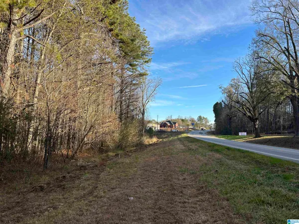 $342,000 | 0 Highway 431 Heflin Al, Heflin, AL 36264