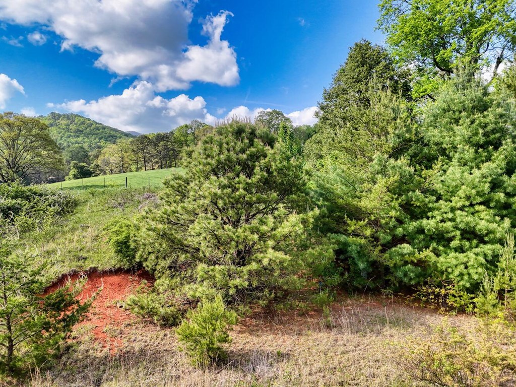 6717 Upper Hightower Road Hiawassee, GA 30546 - Photo 6 of 15 Gallery Image 6