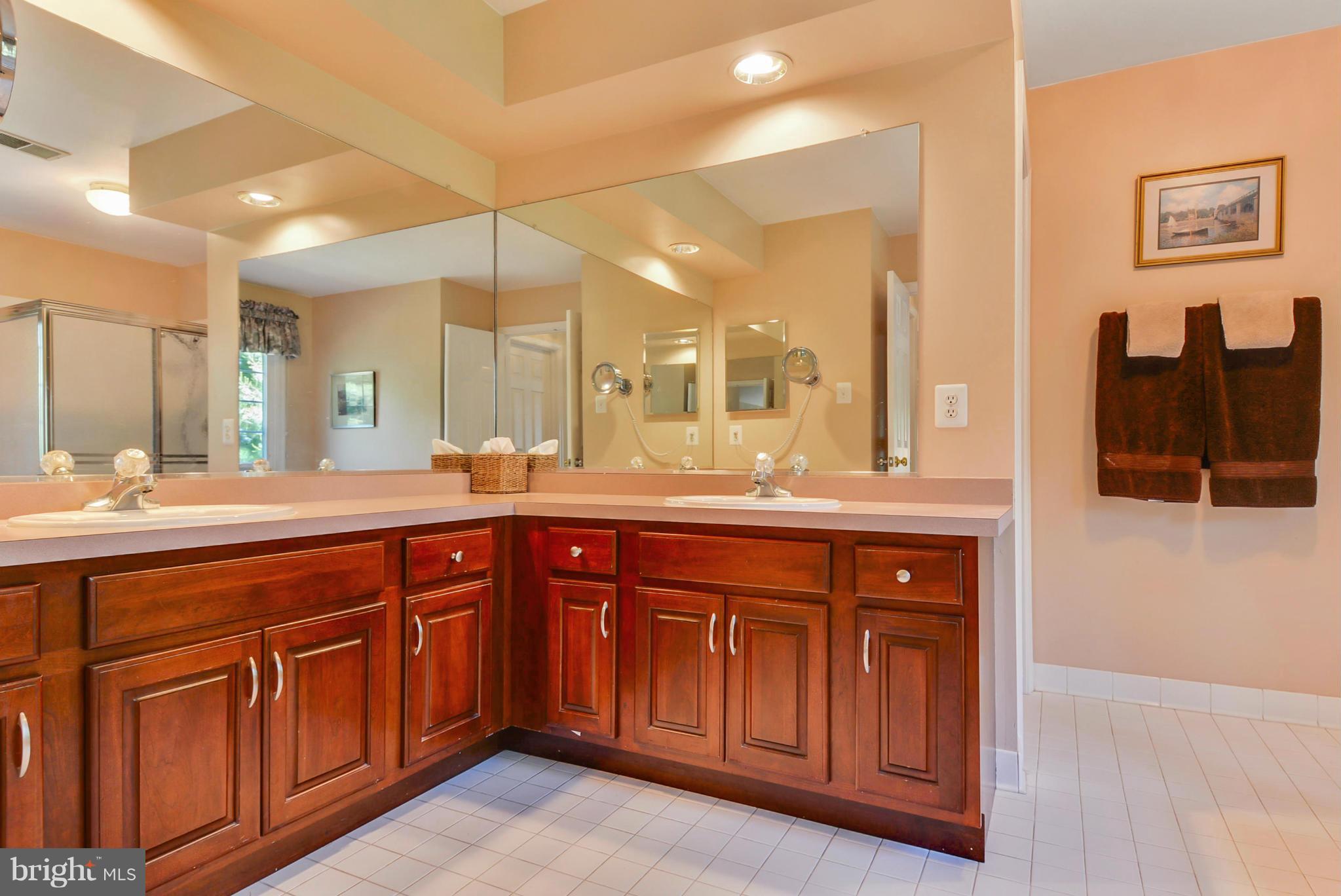 10395 Wetherburn Road Woodstock, MD 21163 - Photo 17 of 30 Bath (Master)