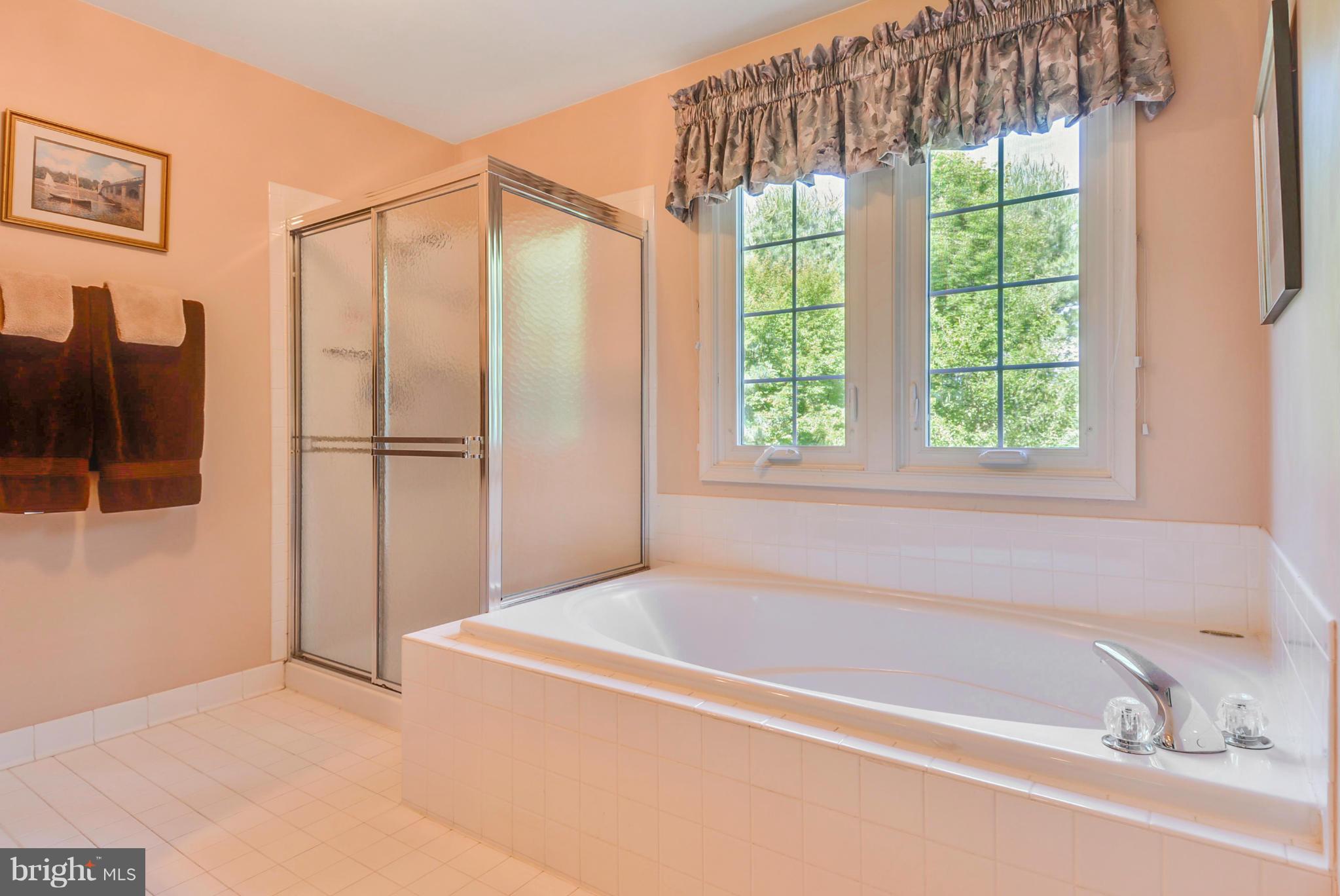10395 Wetherburn Road Woodstock, MD 21163 - Photo 18 of 30 Bath (Master)