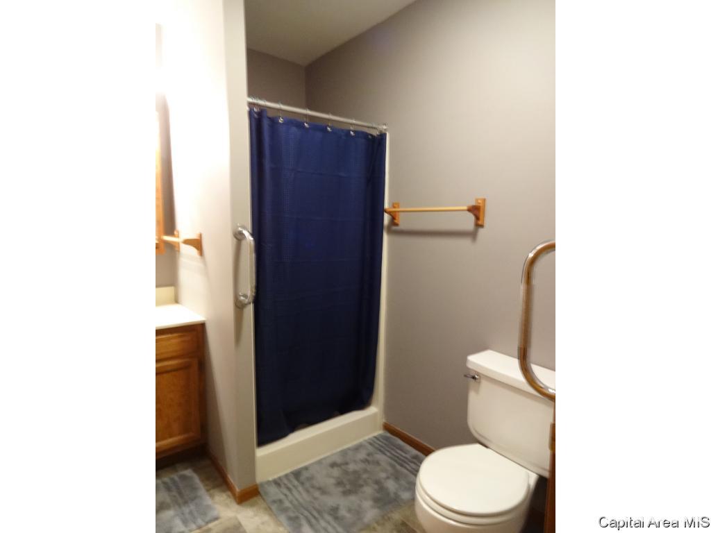 45 Celeste Court Springfield, IL 62703 - Photo 18 of 26