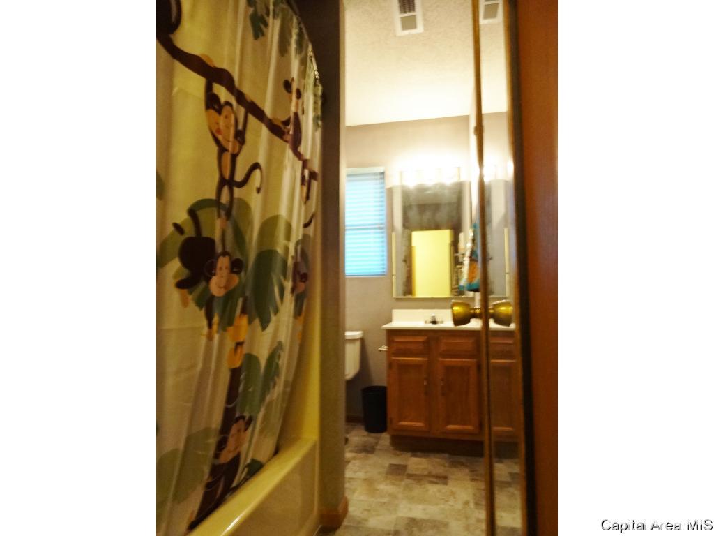 45 Celeste Court Springfield, IL 62703 - Photo 19 of 26