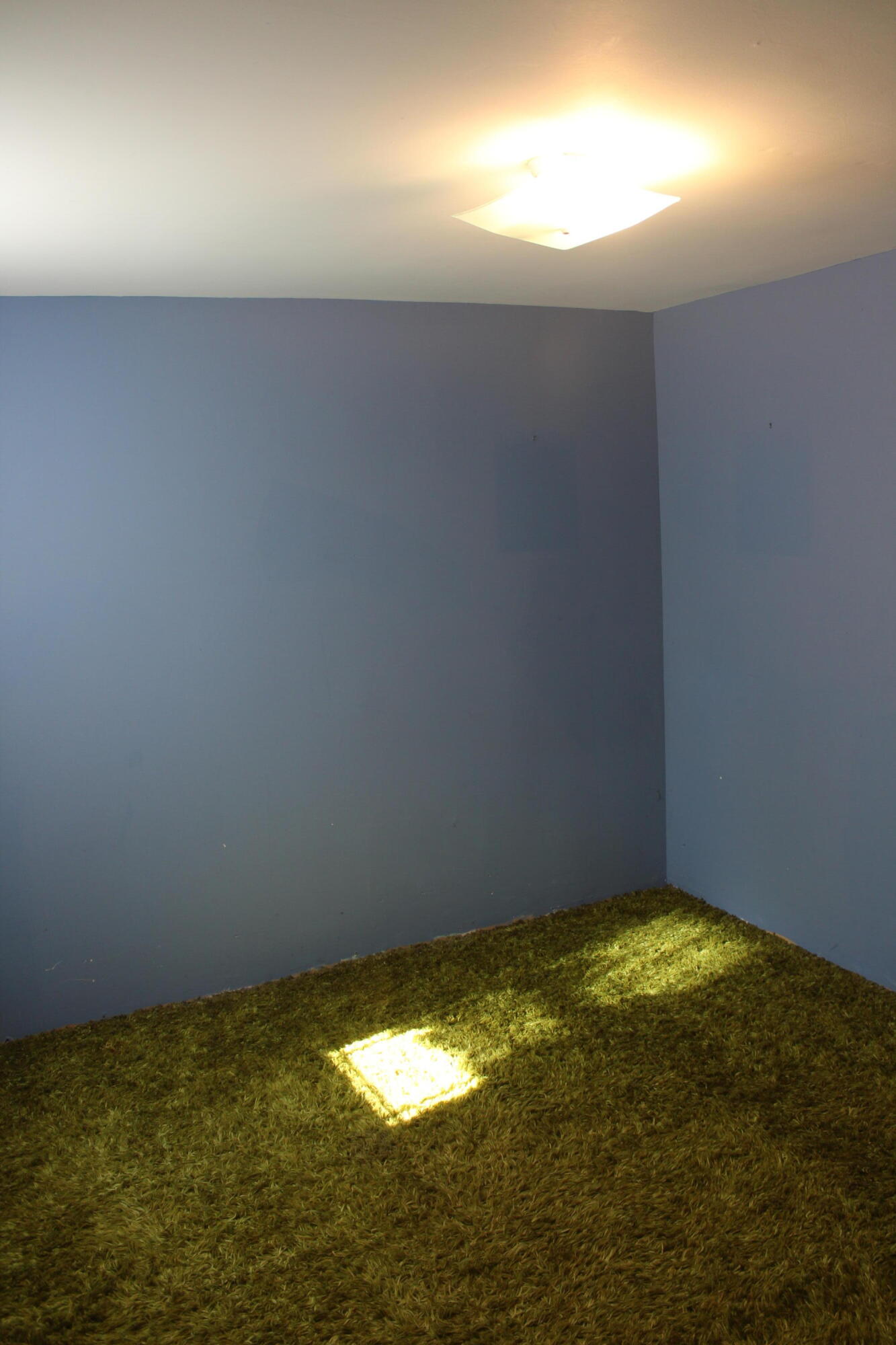 10563 Littlefield Road Blanchard, MI 49310 - Photo 23 of 35 IMG_2362