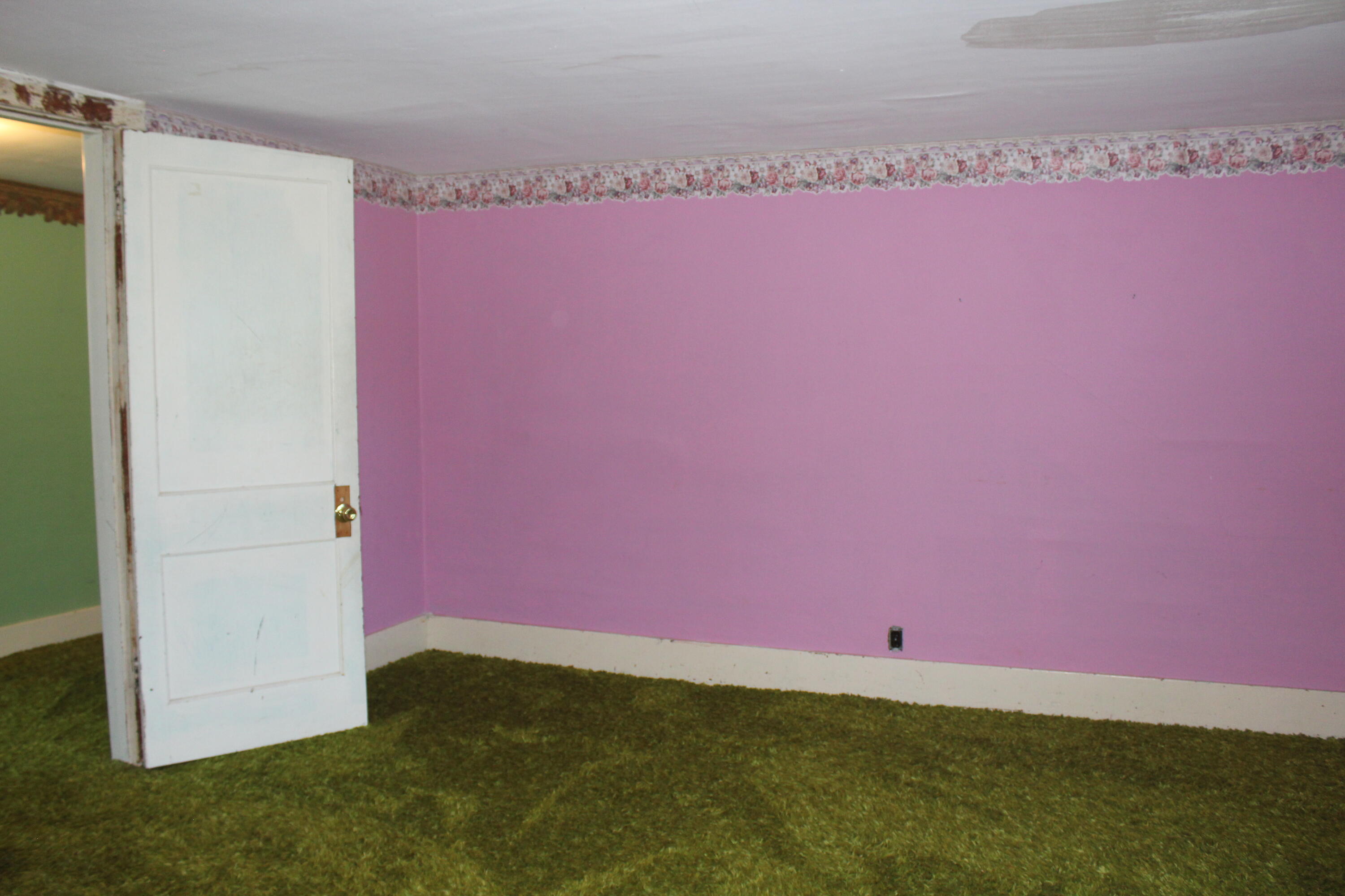 10563 Littlefield Road Blanchard, MI 49310 - Photo 28 of 35 IMG_2370