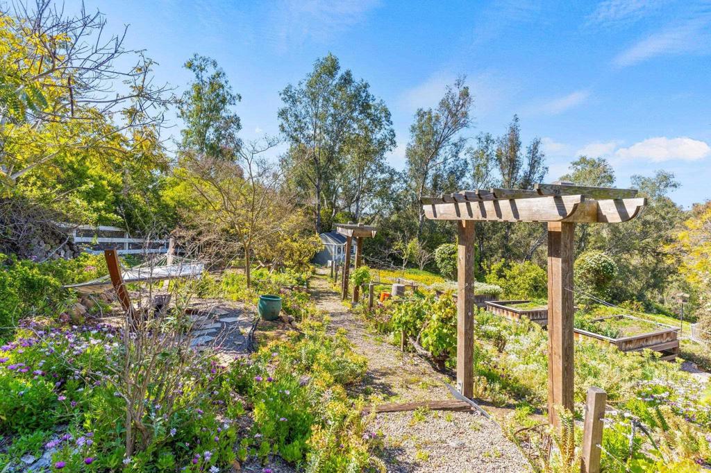 3355 Lone Jack Road Encinitas, CA 92024 - Photo 16 of 54 a view of swimming pool from a garden