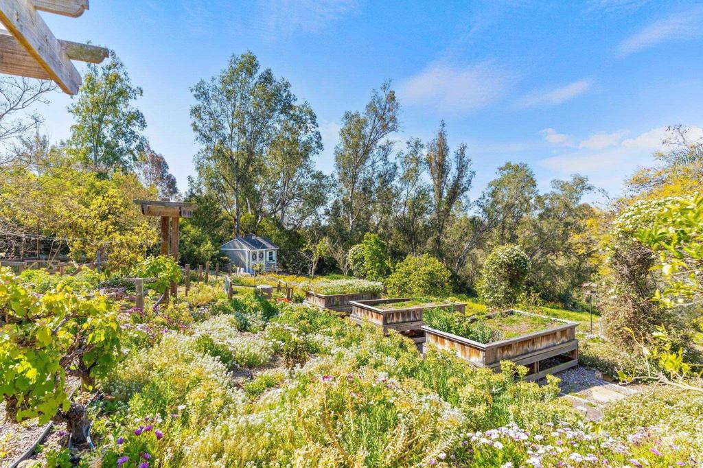 3355 Lone Jack Road Encinitas, CA 92024 - Photo 17 of 54 a view of a yard with plants and trees