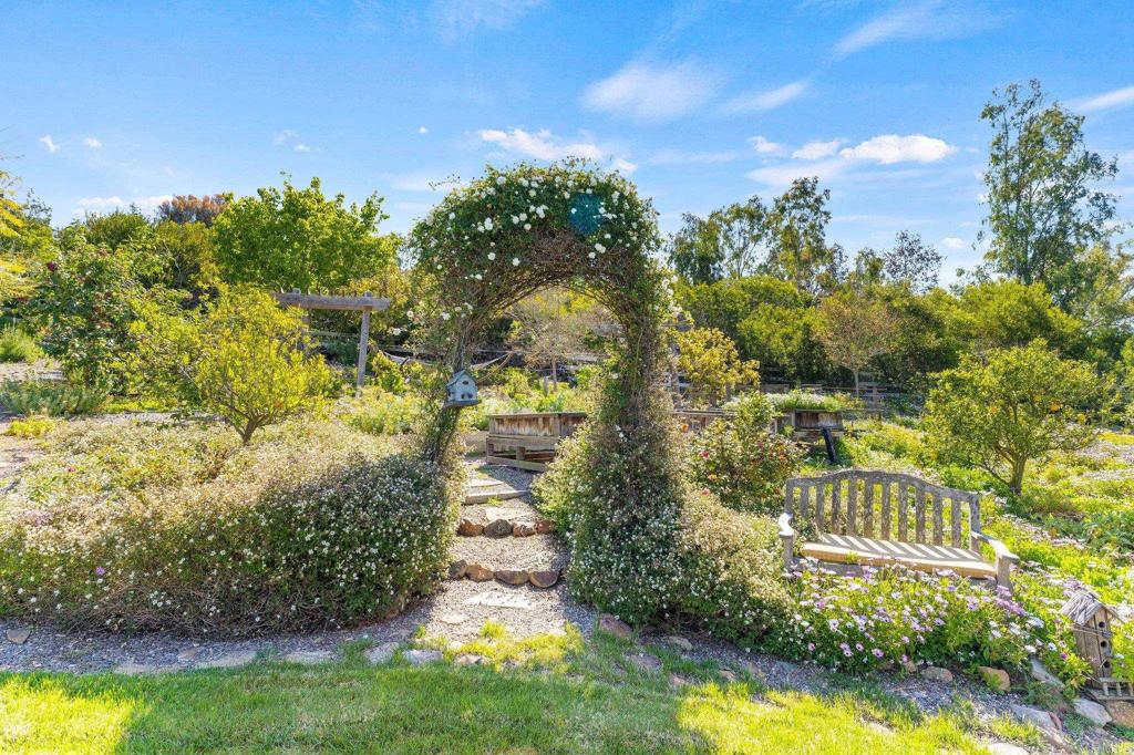 3355 Lone Jack Road Encinitas, CA 92024 - Photo 41 of 54 a view of a yard with plants and large trees