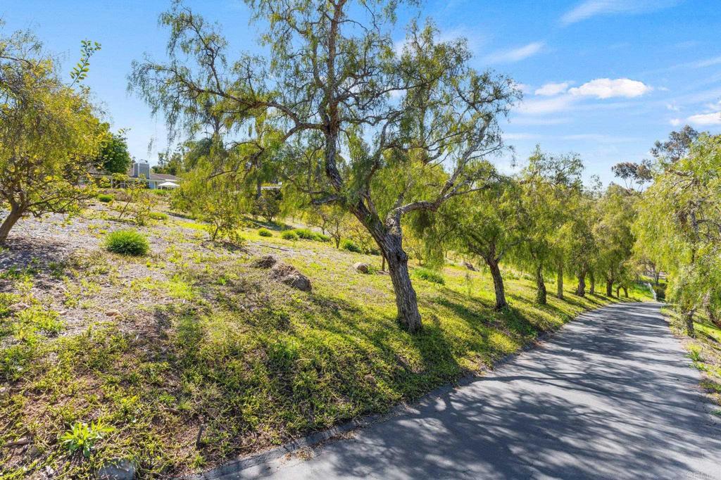 3355 Lone Jack Road Encinitas, CA 92024 - Photo 43 of 54 a view of an outdoor space with a lake view