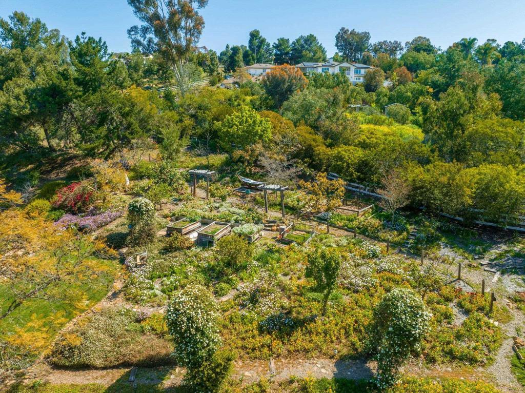 3355 Lone Jack Road Encinitas, CA 92024 - Photo 53 of 54 a view of a garden