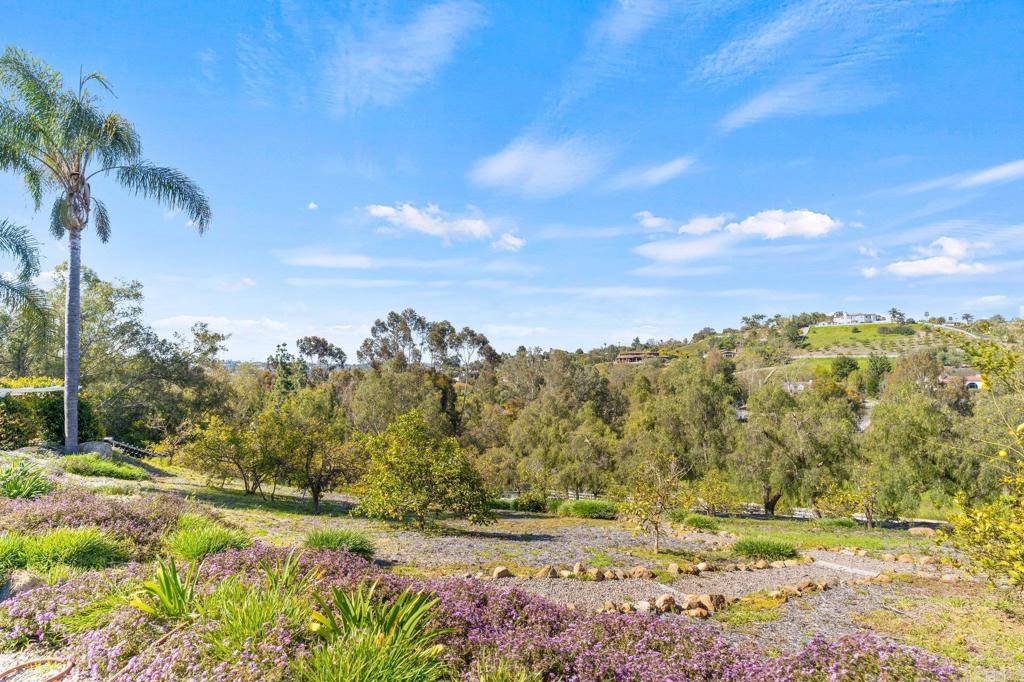 3355 Lone Jack Road Encinitas, CA 92024 - Photo 9 of 54 a view of a yard with an trees