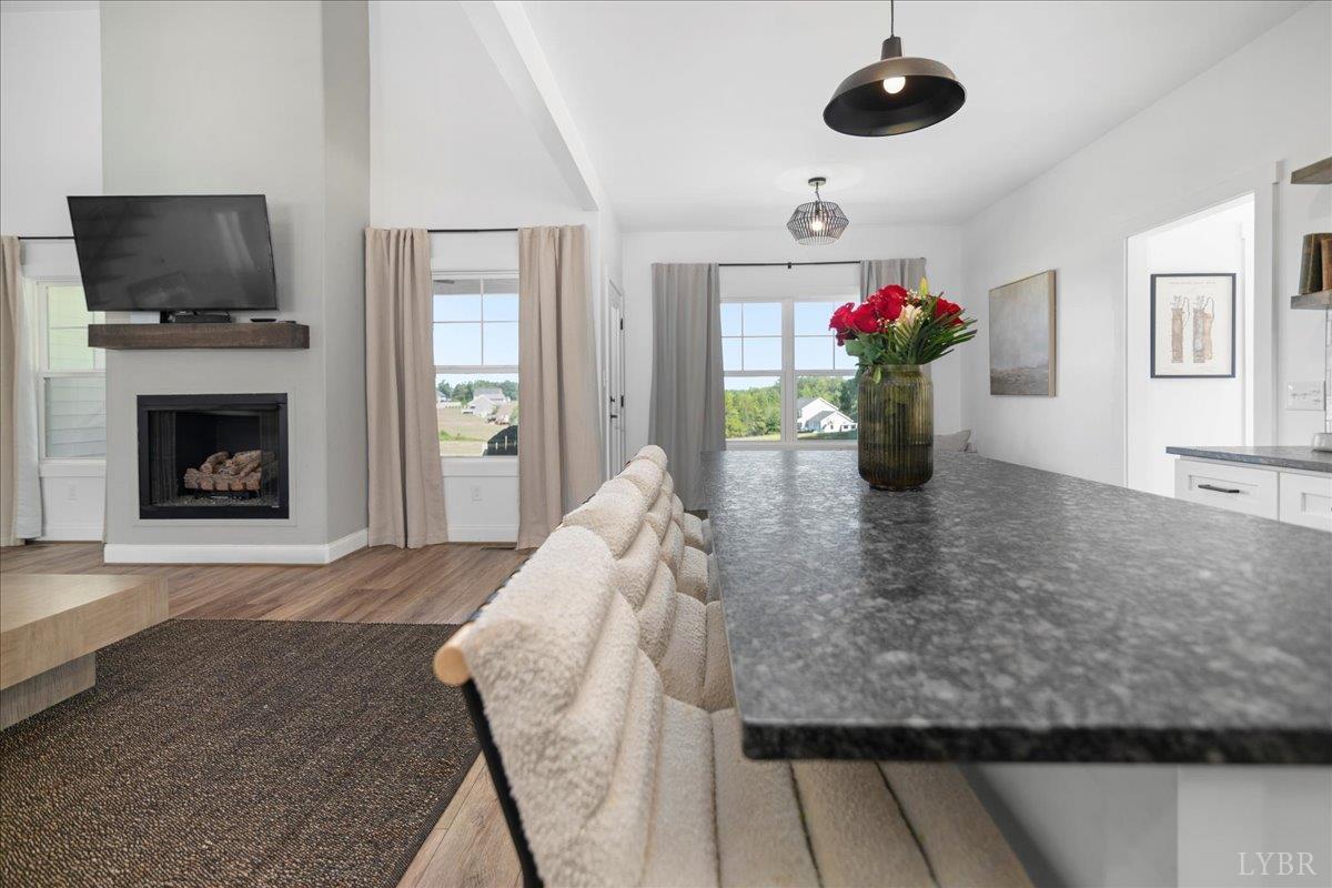 1393 Stonewall Road Concord, VA 24538 - Photo 17 of 85 a living room with furniture and a fireplace