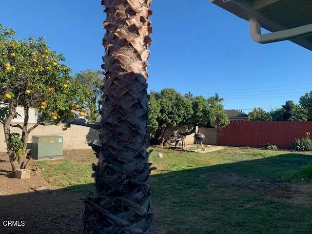 a view of a backyard with large trees