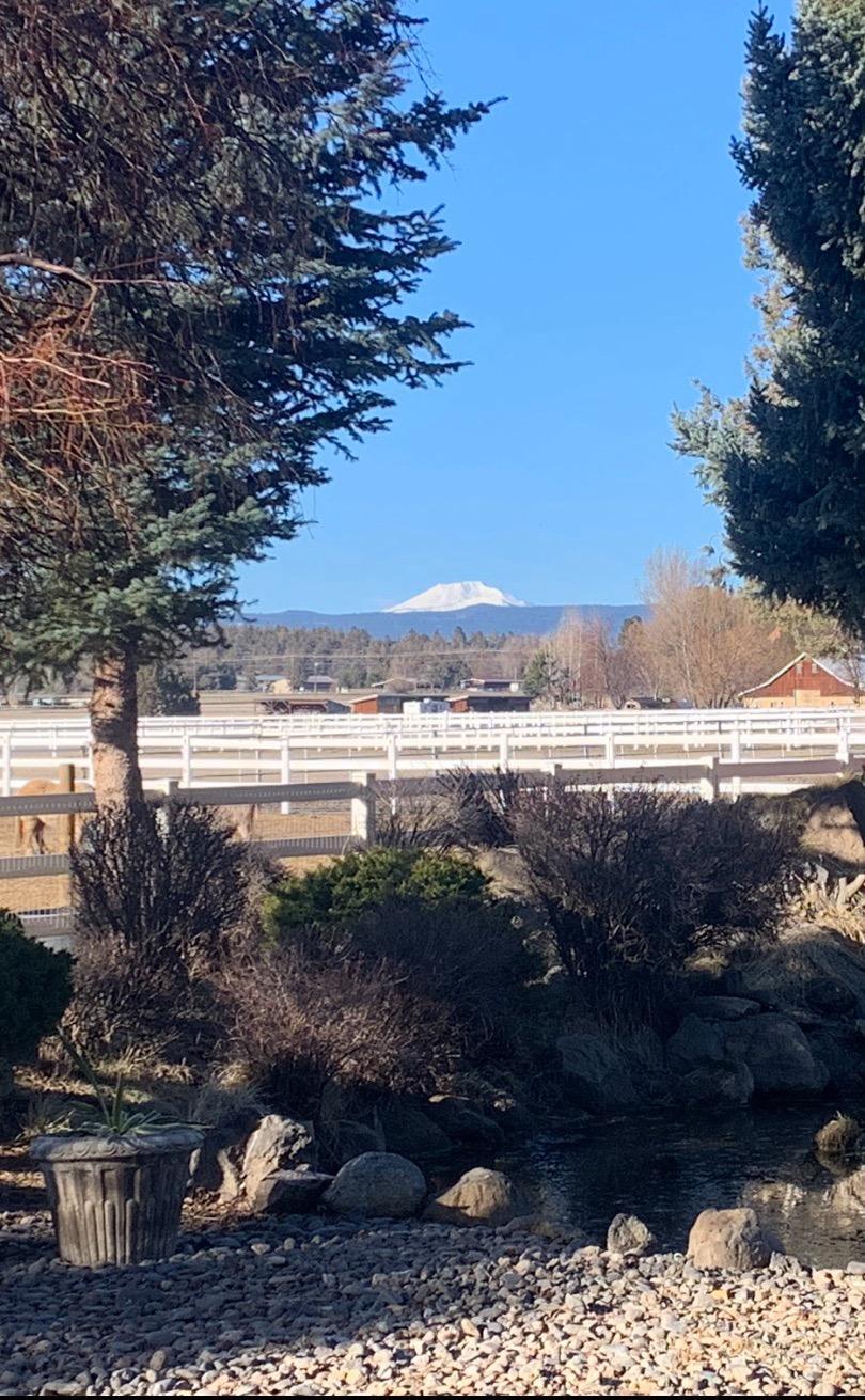 65161 Highland Road Bend, OR 97703 - Photo 25 of 66 Clear Mt. Bachelor view from dining/great room area.